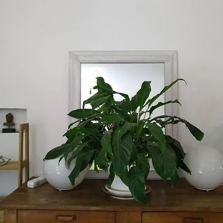 Gardenlofthouse *